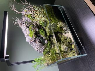 Dooa by daylight, its geostone with a tiny waterfall running down.