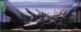 <img data-drupal-selector="edit-field-additional-pictures-0-preview" src="/sites/default/files/styles/thumbnail/public/178/img_5242.jpg?itok=Ym_ozZqE" width="100" height="40" alt="" loading="lazy" class="image-style-thumbnail">