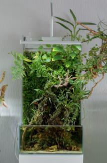 paludarium