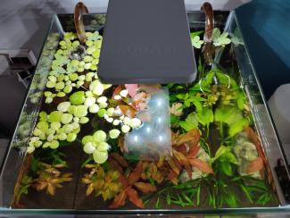 My cube LowTech tank 3.