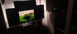 Step 7 Aquascape "Rays of the Sunset"