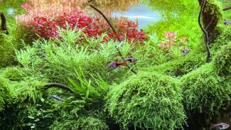 Alex_Kirghizov EAPLC 2023 120-60-60 fragments_1