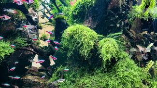 Alex_Kirghizov EAPLC 2023 120-60-60 fragments_4