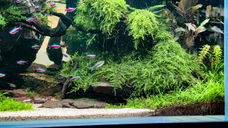 Alex_Kirghizov EAPLC 2023 120-60-60 fragments_6