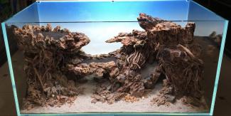 Top view of the hardscape