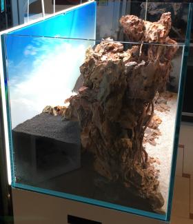 Left view of the hardscape