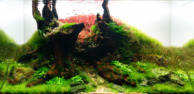 All'Ombra del caduto