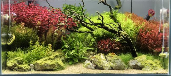 Hidden Garden of Paradise