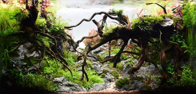 At the Gateway to Nature