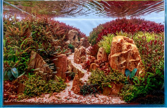 Diablo - e pluribus unum