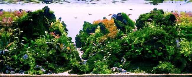 Green-Orange Mountains