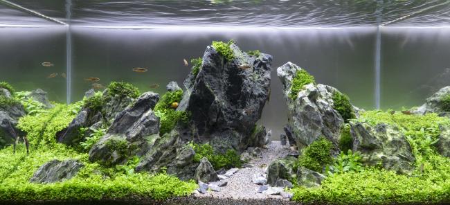 Prince of Buda and Princess of Pest