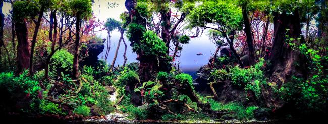 The Old man and the sea