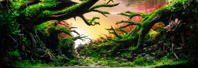 The Valley Of The Rising Sun