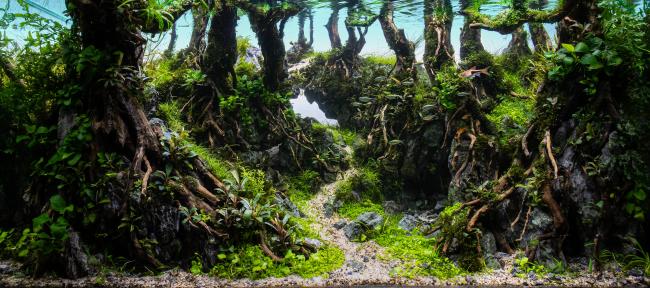 the Power of the Rain