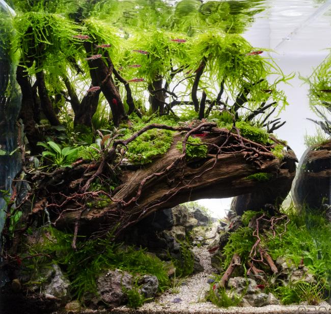 Two worlds final picture