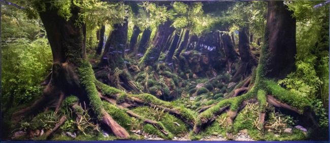 Main frontal Picture