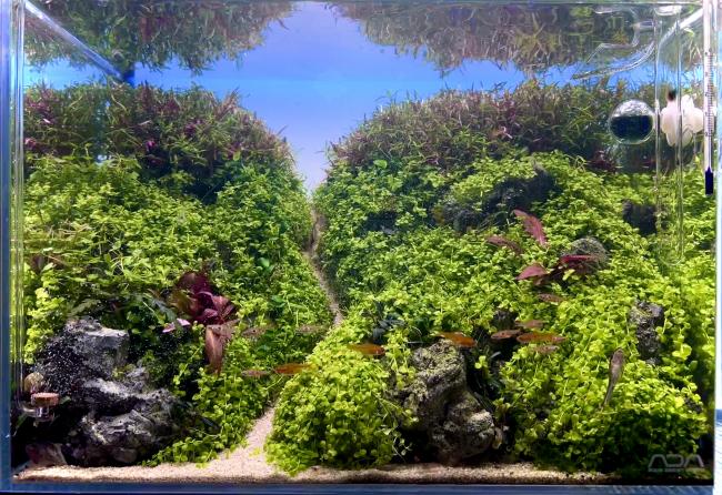 A small diorama which emphasises the harmony of green and red plants.