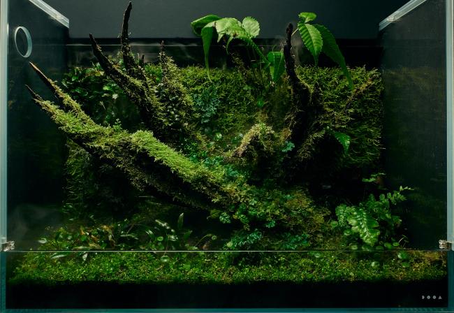 Mother Nature's Sanctuary