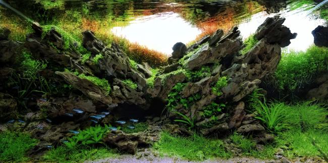 An aggressive build with dragon stones