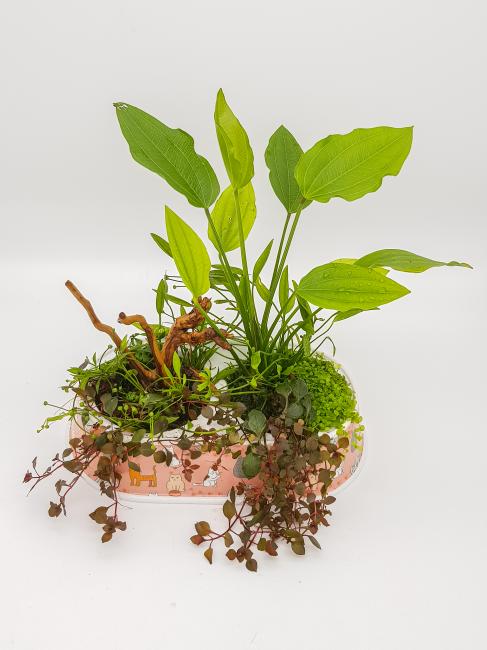 The world isn't the same. Now even my cat is vegan...