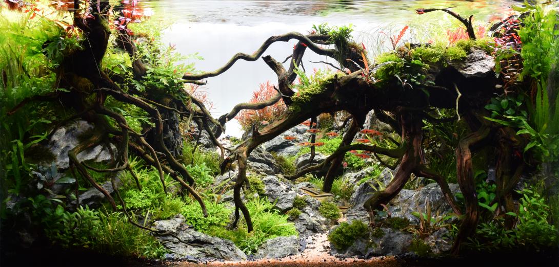 At the Gateway to Nature