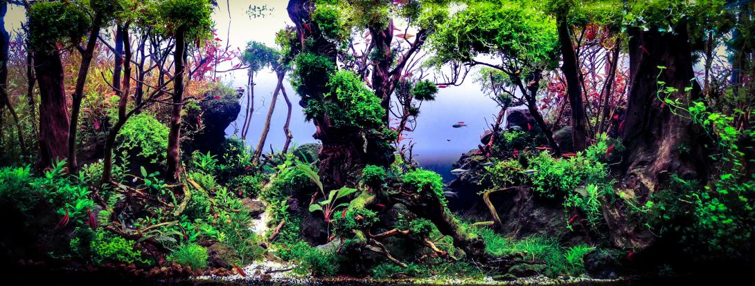 The Old man and the sea