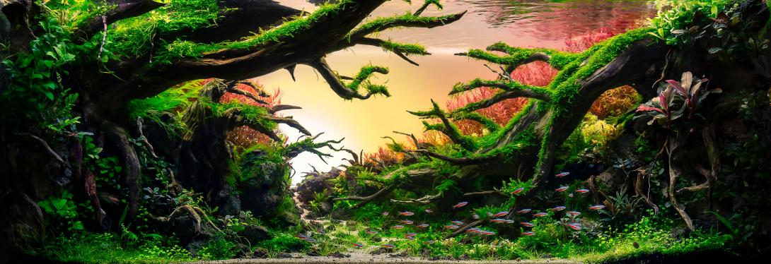 The Valley Of The Rising Sun