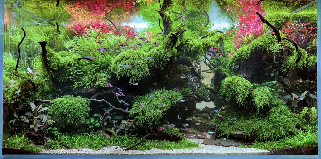 Alex_Kirghizov EAPLC 2023 120-60-60