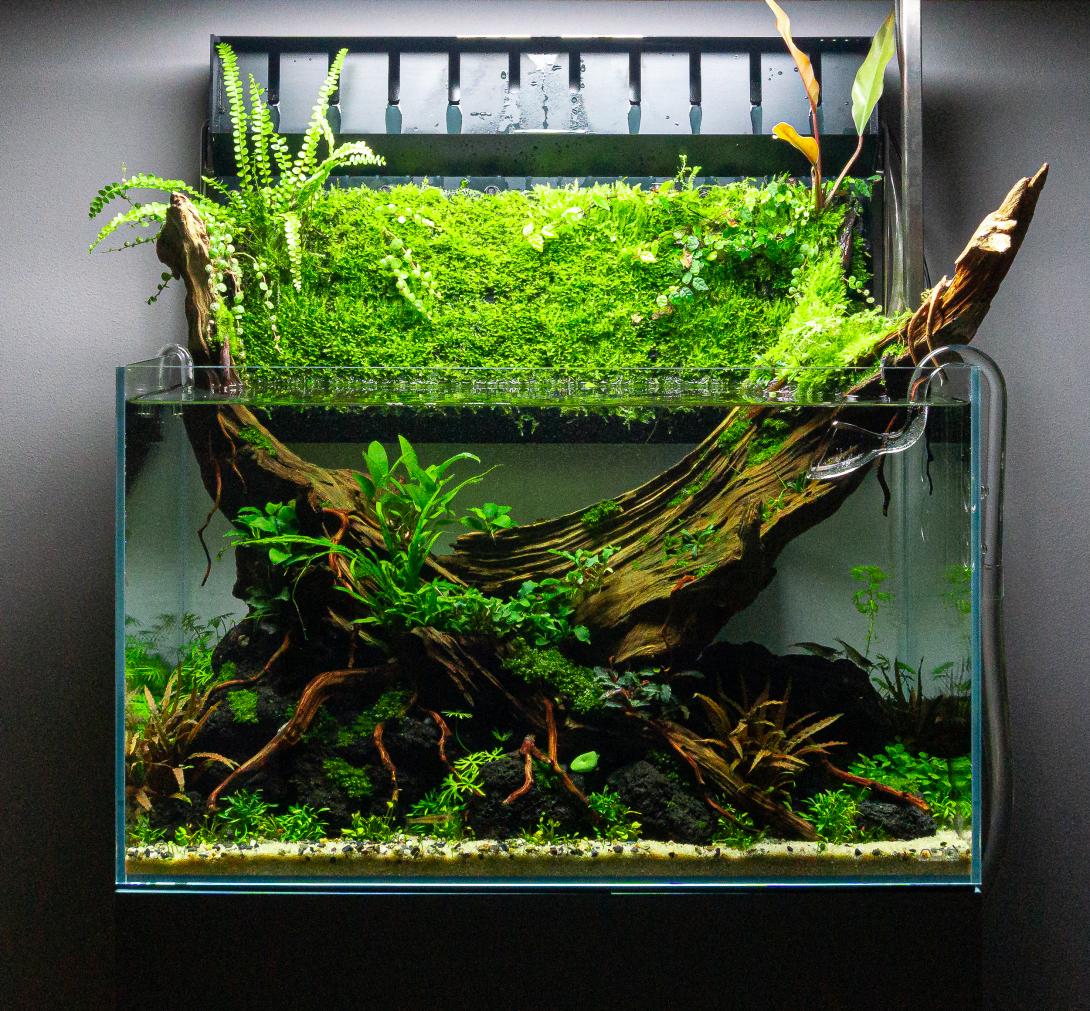 60p + mizukusa mist wall