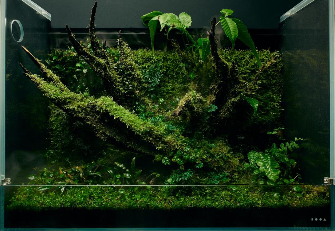 Mother Nature's Sanctuary